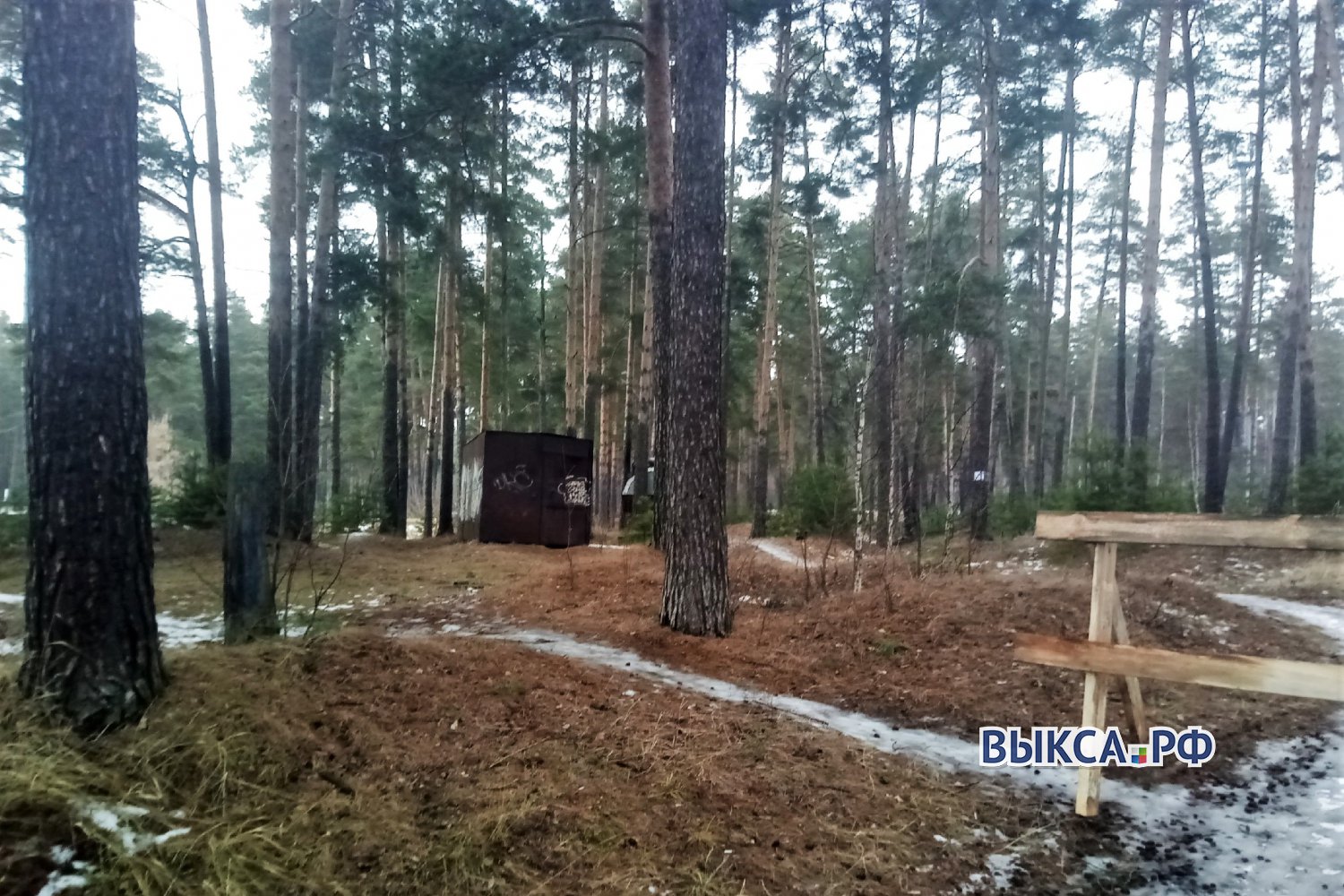 Лес в Юбилейном вырубили ради новой автомойки ?